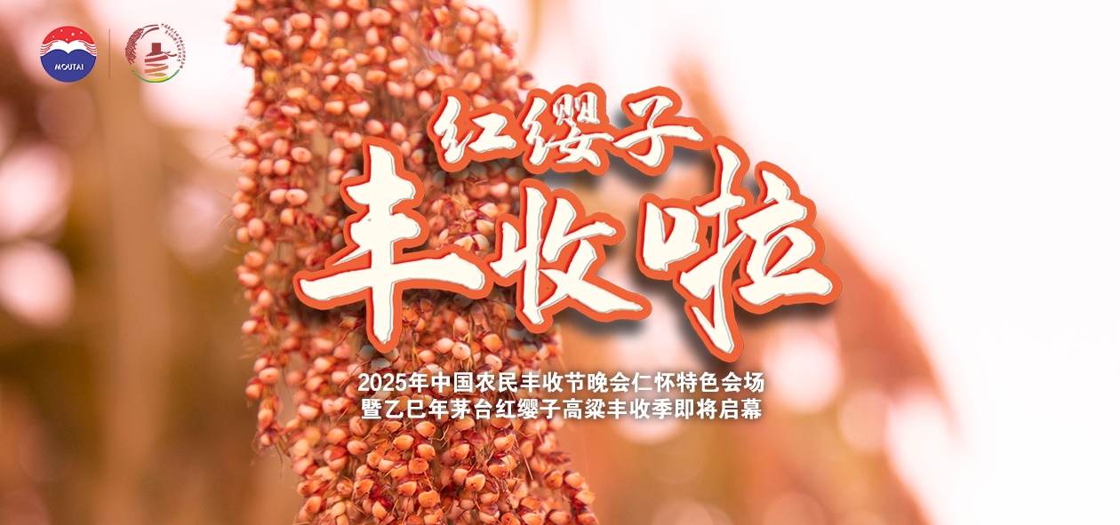 紅纓子 豐收啦！